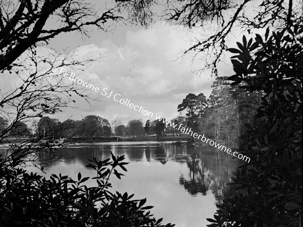 LAKE WITH TREES